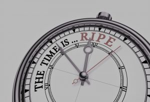 Why Your MSP Needs a vCSO Right Now