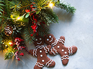 Beware of Holiday Scams: Protect Yourself with Advanced Cybersecurity